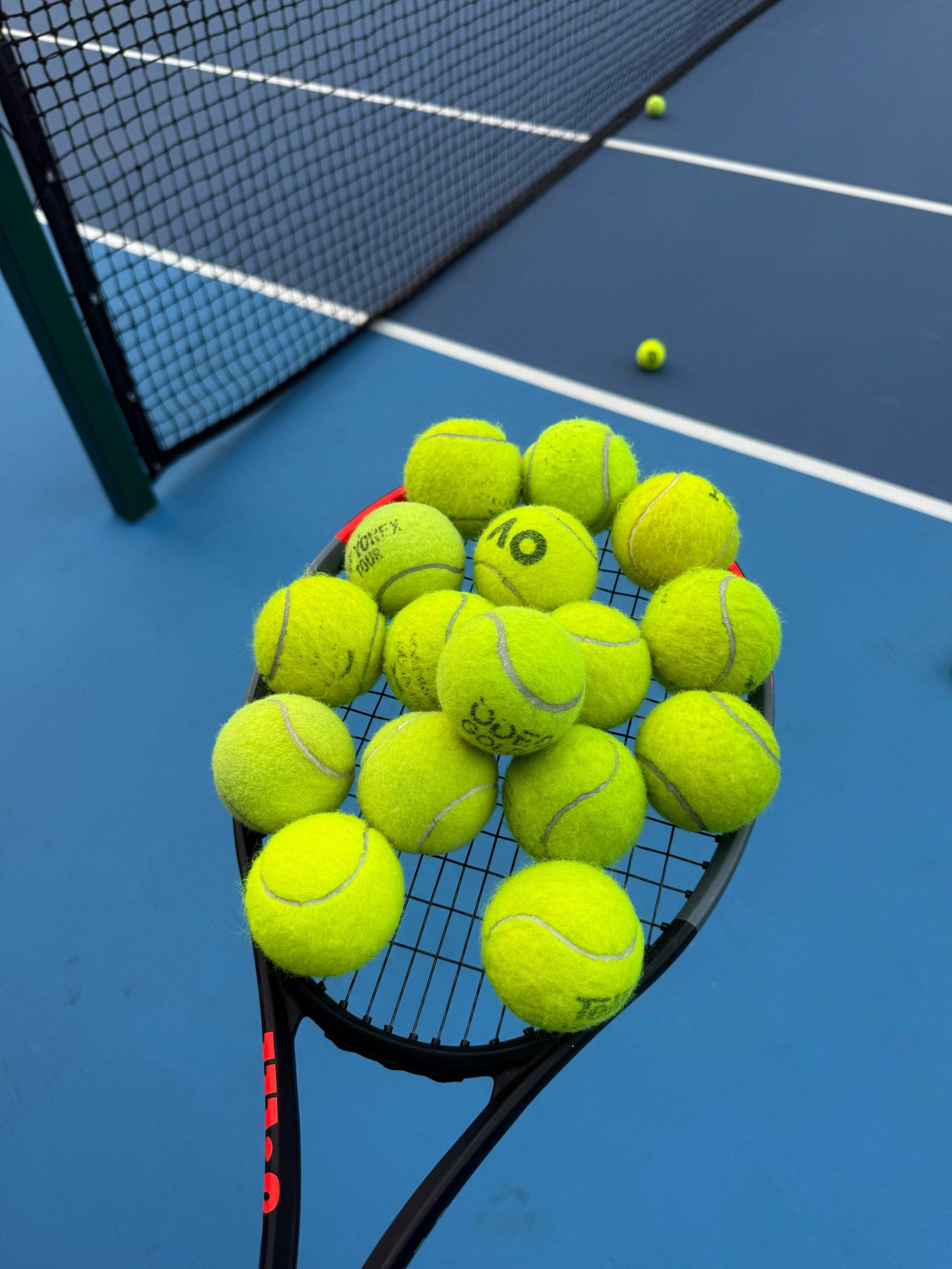 兰的主力中 兰的主力中