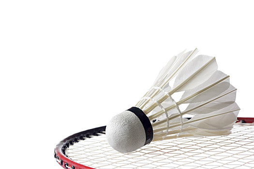 内部竞争日 内部竞争日