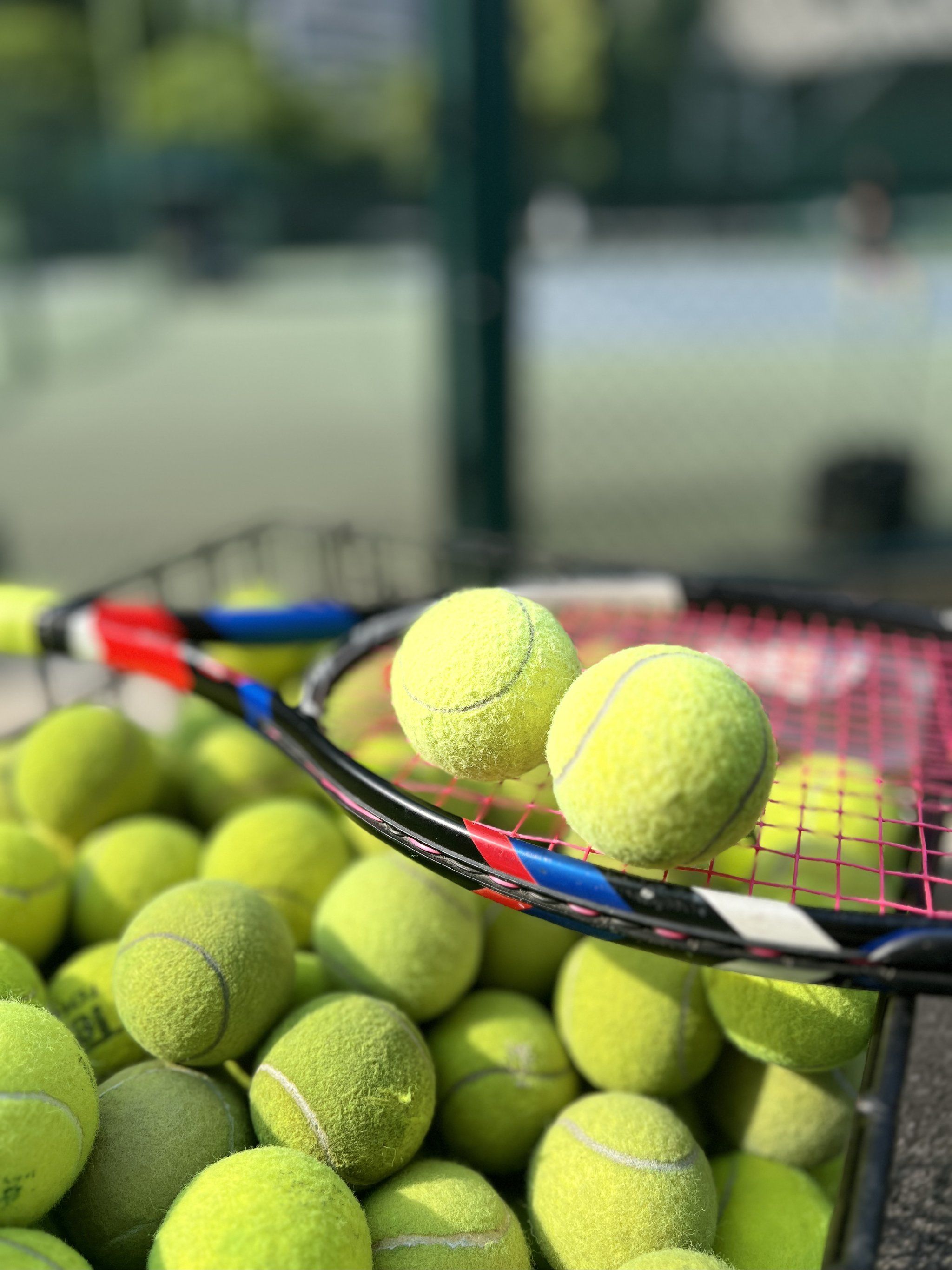 某些尚未公 某些尚未公