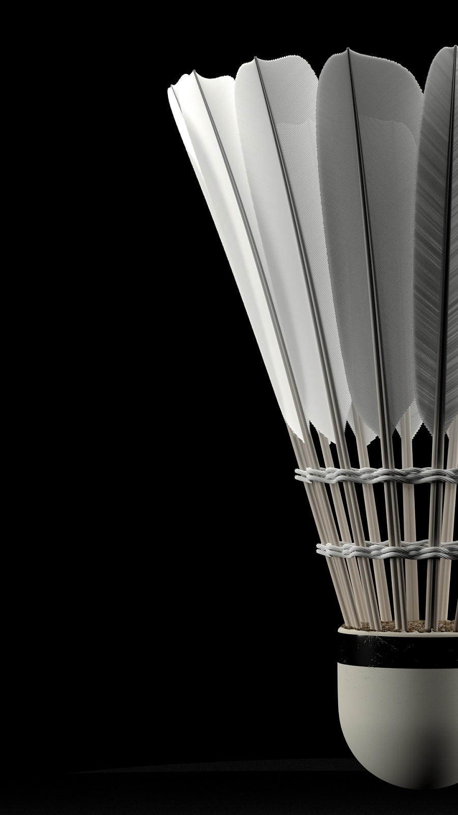 中国队在比 中国队在比